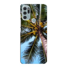 Силиконовый чехол с КАРТИНКАМИ лето для Motorola MOTO G60s (AlphaPrint) (Пальма)