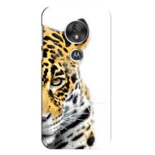 Чехлы с картинками животных Motorola MOTO G7 Play (Леопард)