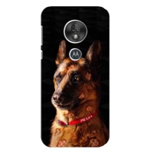 Чехлы с картинками животных Motorola MOTO G7 Play (Овчарка)