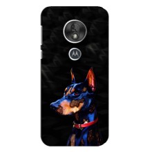 Чехлы с картинками животных Motorola MOTO G7 Play (Собака)