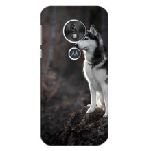 Чехол с Хаски для Motorola Moto G7 Play - (AlphaPrint) (Верный пес)