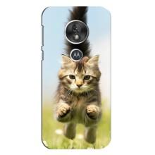Чохли з Котиками для Motorola MOTO G7 Play (VPrint) (Прижок кота)