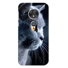 Чохли з Котиками для Motorola MOTO G7 Play (VPrint) (Сірий Кіт)