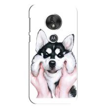 Чехлы с собаками для Motorola MOTO G7 Play (VPrint) (Довольный Хаски)