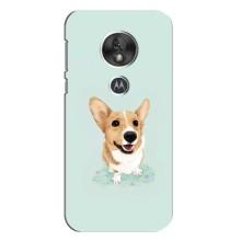 Чехлы с собаками для Motorola MOTO G7 Play (VPrint) (Корги)