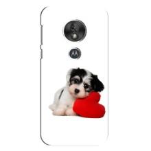 Чехлы с собаками для Motorola MOTO G7 Play (VPrint) (Песик)