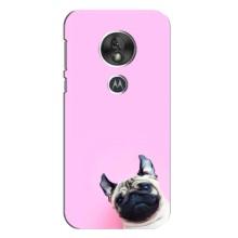 Чехлы с собаками для Motorola MOTO G7 Play (VPrint) (Смешная собака)