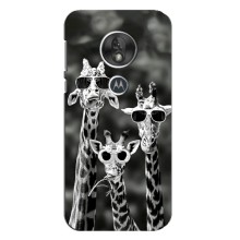 Силиконовый чехол с КАРТИНКАМИ лето для Motorola MOTO G7 Play (AlphaPrint) (Жирафы в очках)