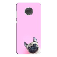 Бампер для Motorola Moto G7 Plus с картинкой "Песики" – Собака на розовом