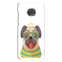 Бампер для Motorola Moto G7 Plus с картинкой "Песики" – Собака Король