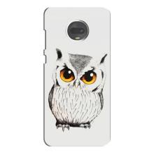 Чохол з пташками на Motorola MOTO G7 Plus (VPrint) (Мила Сова)