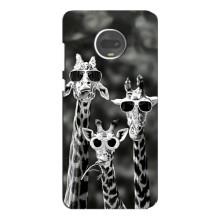 Силиконовый чехол с КАРТИНКАМИ лето для Motorola MOTO G7 Plus (AlphaPrint) – Жирафы в очках