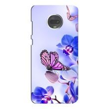 Чехлы с Цветами для Motorola MOTO G7 (VPrint) (Бабочка на цветочке)