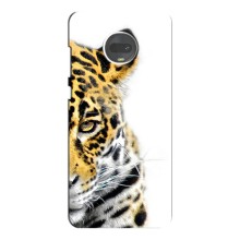 Чохли з картинкою животних Motorola MOTO G7 (Леопард)