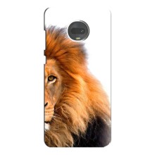 Чохли з картинкою животних Motorola MOTO G7 (Лев грива)