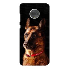 Чохли з картинкою животних Motorola MOTO G7 (Овчарка)