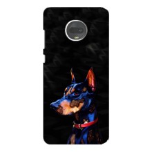 Чохли з картинкою животних Motorola MOTO G7 (Собака)