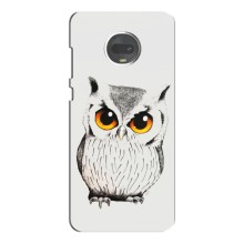 Чохол з пташками на Motorola MOTO G7 (VPrint) (Мила Сова)