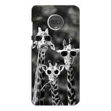 Силіконовий чохол з КАРТИНКАМИ літо для Motorola MOTO G7 (AlphaPrint) (Жирафи в окулярах)