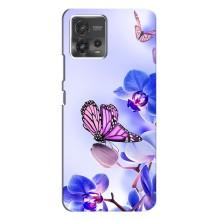Чехлы с Цветами для Motorola MOTO G72 (VPrint) (Бабочка на цветочке)
