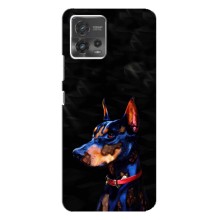Чехлы с картинками животных Motorola MOTO G72 (Собака)