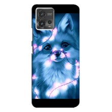 Чехлы с картинкой Лисички для Motorola MOTO G72 (VPrint) (Яркая лисичка)