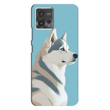 Чехол с Хаски для MOTO G72 - (AlphaPrint) (Хаски арт)