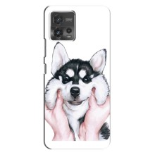 Чехол с Хаски для MOTO G72 - (AlphaPrint) (Хаски улыбака)