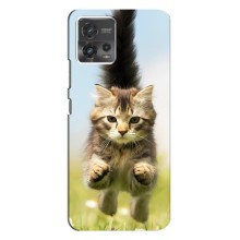 Чехлы с Котиками для Motorola MOTO G72 (VPrint) (Прыжок кота)