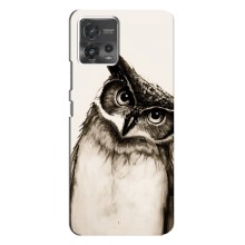 Чехол с птицами на Motorola MOTO G72 (VPrint) (Сова)