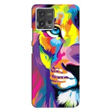 Чехол со Львом для Motorola MOTO G72 (VPrint) (Яркий Лев)