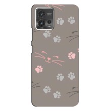 Чехол с рисунком кот на Motorola MOTO G72 (Лапы и усы)