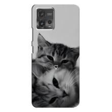 Чехол с рисунком кот на Motorola MOTO G72 (Пара котов)