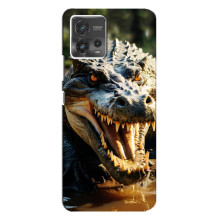 Чехол с картинкой «Хищники» для Motorola MOTO G72 – Крокодил