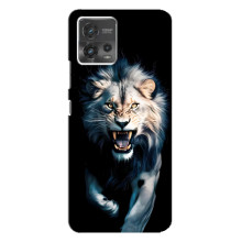 Чехол с картинкой «Хищники» для Motorola MOTO G72 – Лев