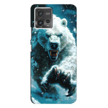 Чехол с картинкой «Хищники» для Motorola MOTO G72 – Медведь