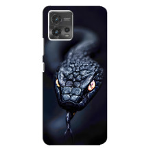 Чехол с картинкой «Хищники» для Motorola MOTO G72 – Змея