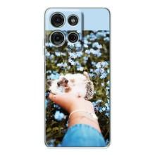 Чехлы с изображением разных животных для Motorola Moto G75 (Ежик на руках)