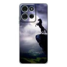 Чехлы с изображением разных животных для Motorola Moto G75 (Лошадь)