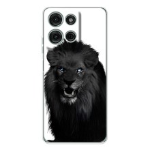 Чохли з картинкою животних Motorola Moto G75
