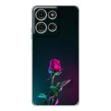 Чехлы с принтом Розочки для Motorola Moto G75 – Ночная роза