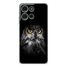Чехлы с принтом СОВЫ для Motorola Moto G75 – Сова на чёрном