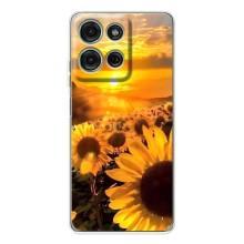 Чехол с Цветами для Motorola Moto G75 (поле подсолнухов)