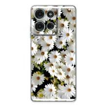 Чехол с ромашками на Motorola Moto G75 – Рамка в ромашках
