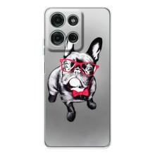 Чохол (ТПУ) Милі песики для Motorola Moto G75 (Бульдог в окулярах)