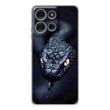 Чехол с картинкой «Хищники» для Motorola Moto G75 – Змея