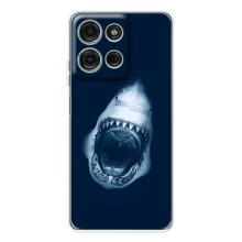 Силиконовый бампер с картинкой животных для Motorola Moto G75 (Пасть Акулы)