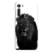 Чехлы с картинками животных Motorola MOTO G8