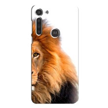Чохли з картинкою животних Motorola MOTO G8 (Лев грива)