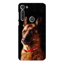 Чохли з картинкою животних Motorola MOTO G8 (Овчарка)